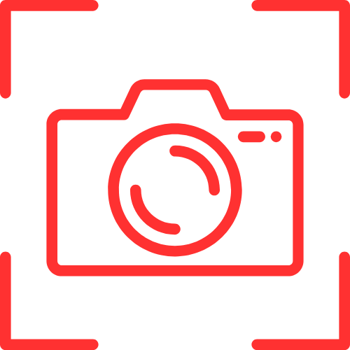 Porn Live Streams